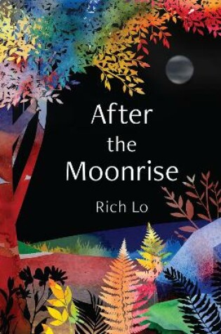 Cover of After the Moonrise