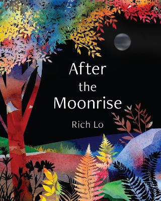 Book cover for After the Moonrise