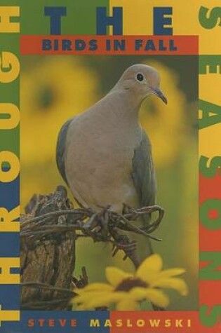 Cover of Birds in Fall