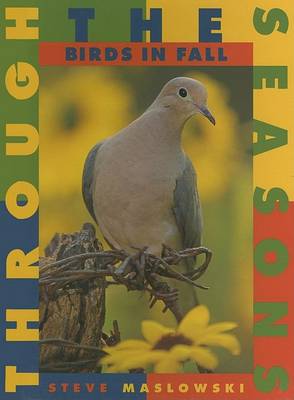 Book cover for Birds in Fall