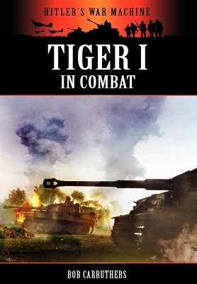 Cover of Tiger 1 in Combat