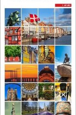 Cover of Insight Flexi Map: Copenhagen