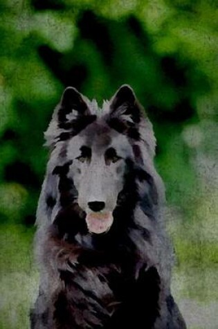 Cover of Belgian Sheepdog