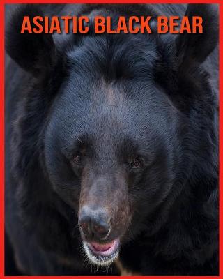 Book cover for Asiatic Black Bear