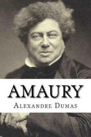 Cover of Amaury (Spanish Edition)