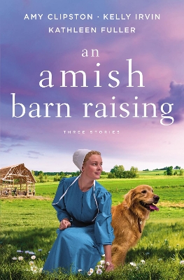 Book cover for An Amish Barn Raising