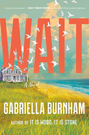 Book cover for Wait