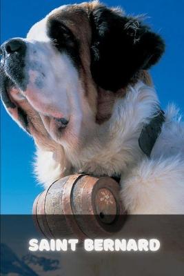 Book cover for Saint Bernard