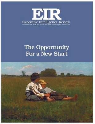 Book cover for The Opportunity For a New Start
