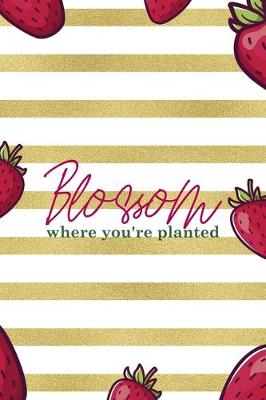 Book cover for Blossom Where You're Planted