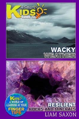 Book cover for Wacky Weather and Resilient Rocks and Minerals