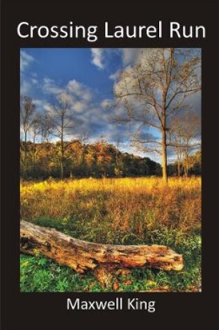 Cover of Crossing Laurel Run