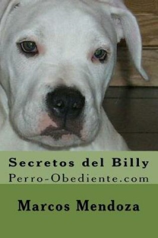 Cover of Secretos del Billy