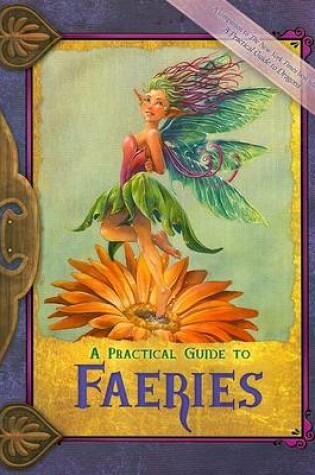 Cover of A Practical Guide to Faeries