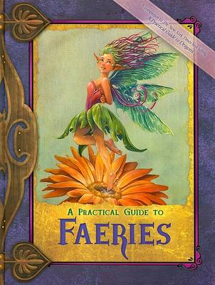 Book cover for A Practical Guide to Faeries