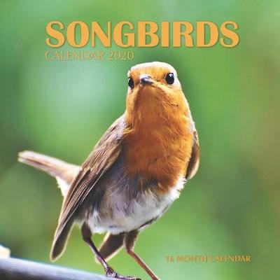 Book cover for Songbirds Calendar 2020