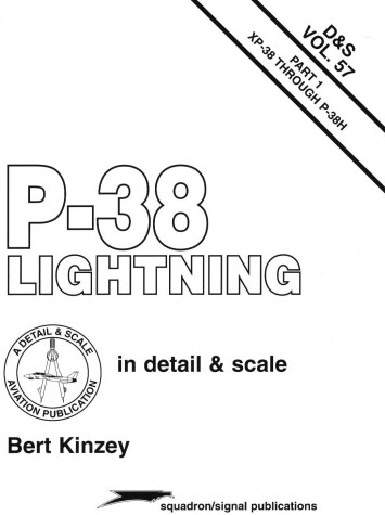 Book cover for The P-38 Lightning