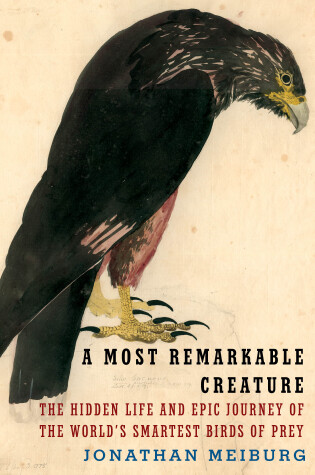 Cover of A Most Remarkable Creature