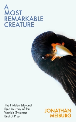 Book cover for A Most Remarkable Creature