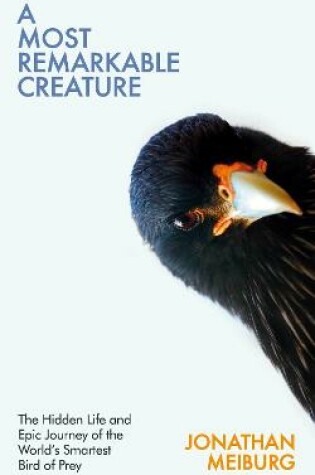 Cover of A Most Remarkable Creature
