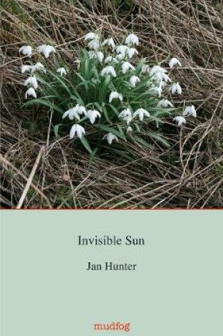 Cover of Invisible Sun