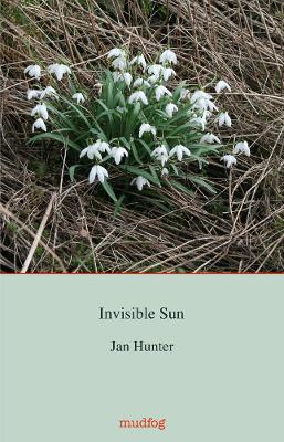 Book cover for Invisible Sun