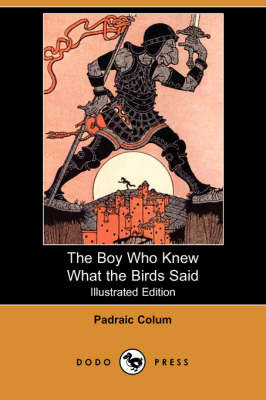 Book cover for The Boy Who Knew What the Birds Said(Dodo Press)