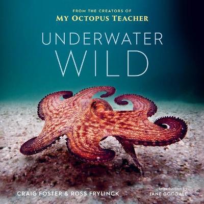 Cover of Underwater Wild