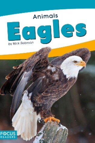 Cover of Animals: Eagles