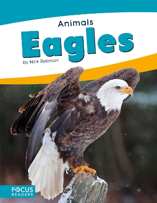 Book cover for Animals: Eagles