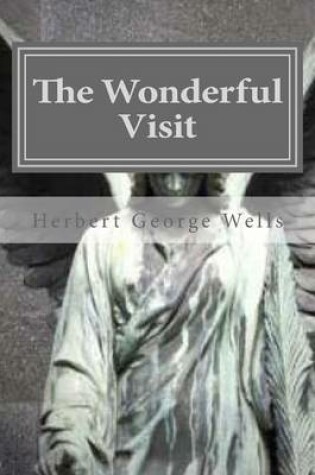 Cover of The Wonderful Visit