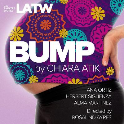 Book cover for Bump