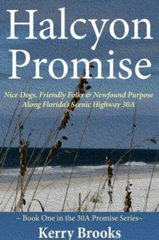 Cover of Halcyon Promise