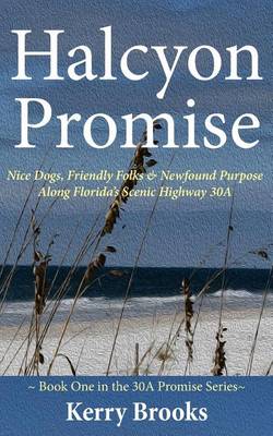 Book cover for Halcyon Promise