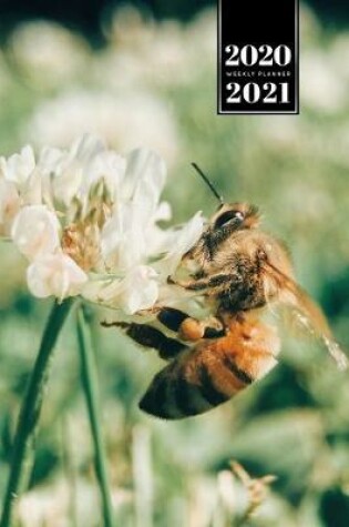 Cover of Bee Insects Beekeeping Beekeeper Week Planner Weekly Organizer Calendar 2020 / 2021 - Blooming White