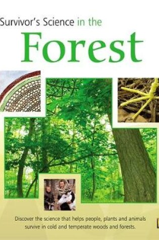 Cover of In The Forest