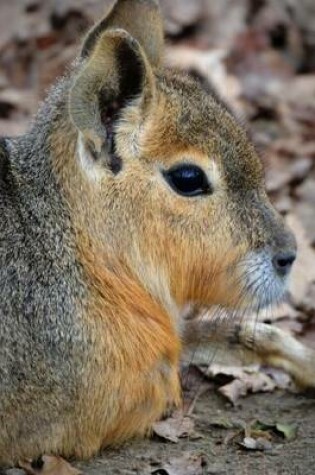 Cover of Website Password Organizer Patagonian Mara Hare Profile