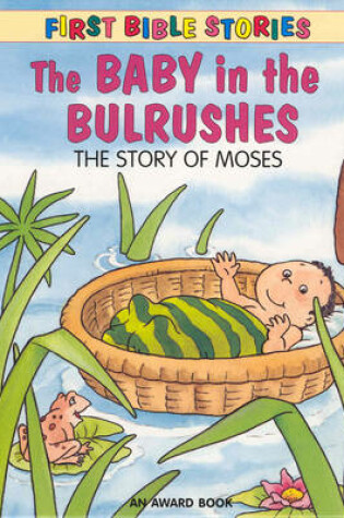 Cover of The Baby in the Bulrushes