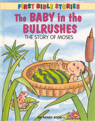 Book cover for The Baby in the Bulrushes