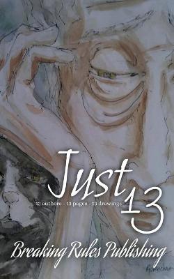 Book cover for Just 13