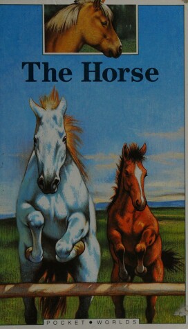 Cover of The Horse, The