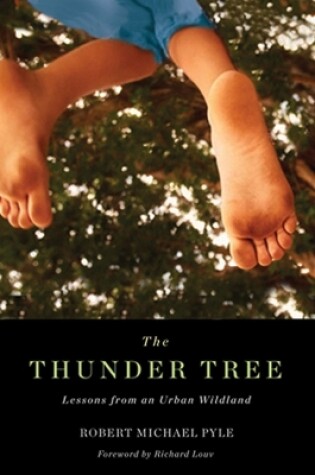 Cover of Thunder Tree