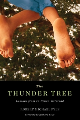 Book cover for Thunder Tree