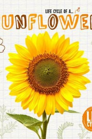 Cover of Sunflower