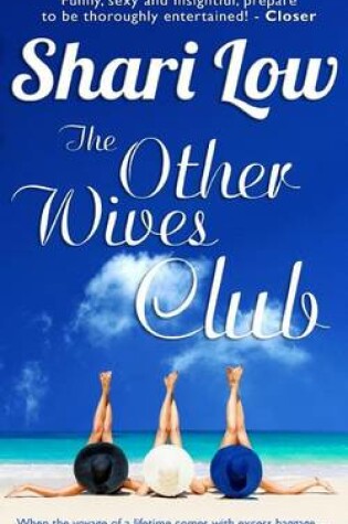 Cover of The Other Wives Club