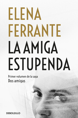 Cover of La amiga estupenda / My Brilliant Friend