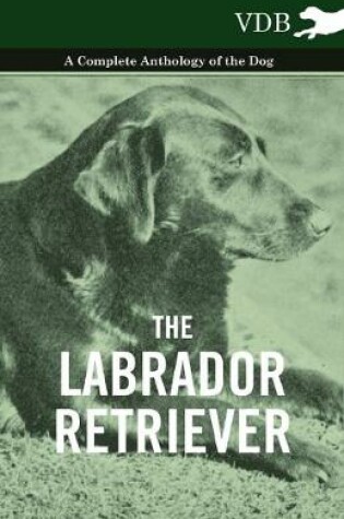 Cover of The Labrador Retriever - A Complete Anthology of the Dog