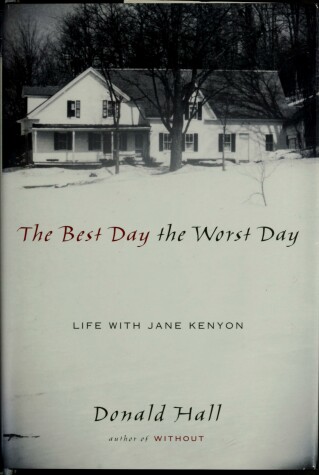 Book cover for The Best Day the Worst Day