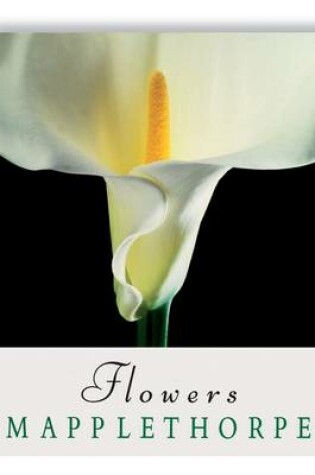 Cover of Robert Mapplethorpe: Flowers