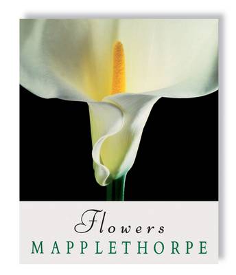 Book cover for Robert Mapplethorpe: Flowers